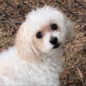 Meet your Posher, Alexia